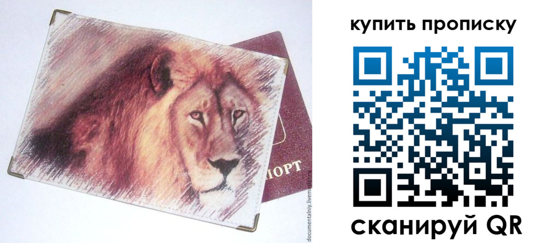 прописка паспорт в Лузе